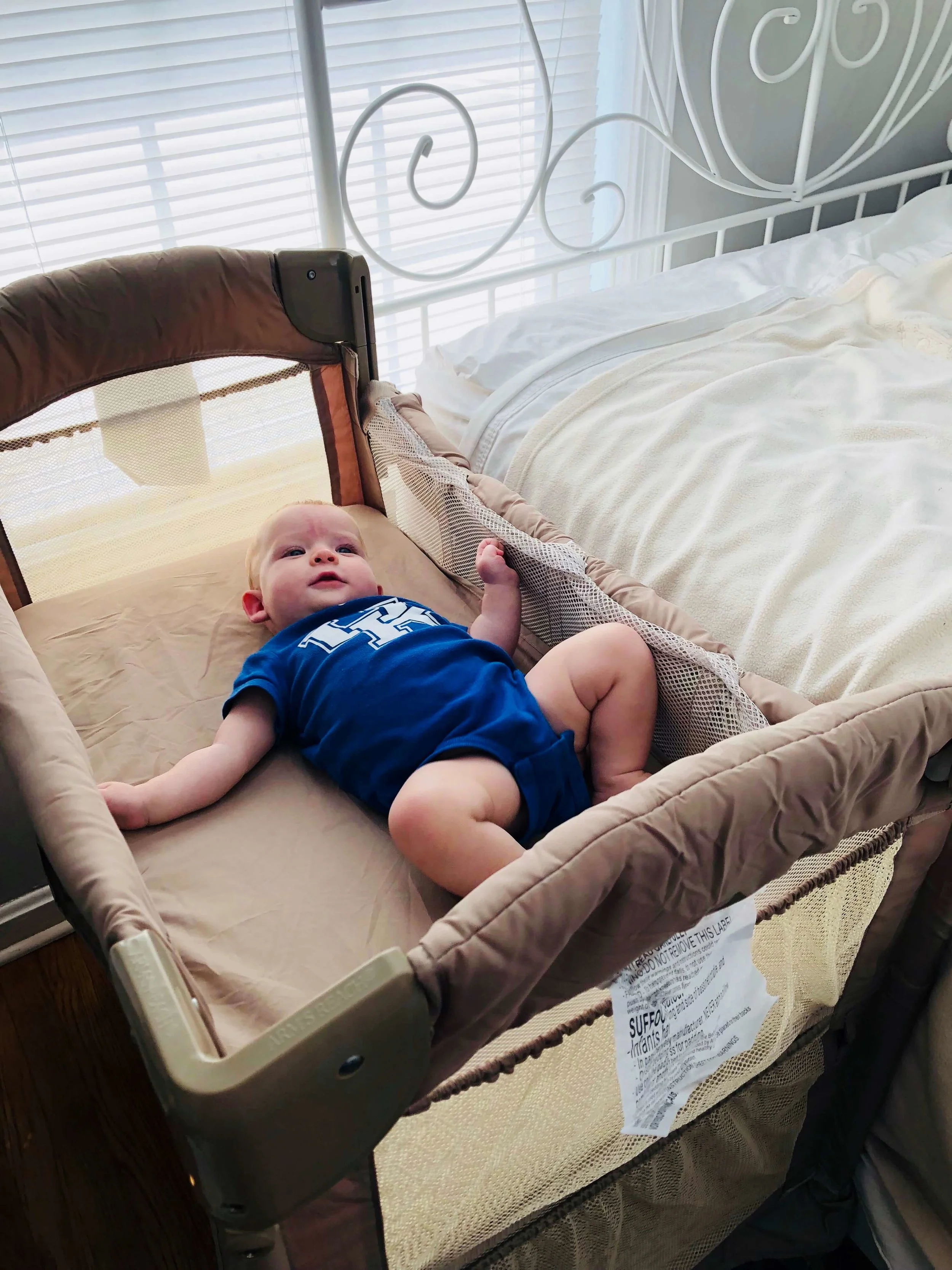 Arm s Reach Mini 2 in 1 Ezee Co Sleeper Bassinet Review Harvest Homesteaders